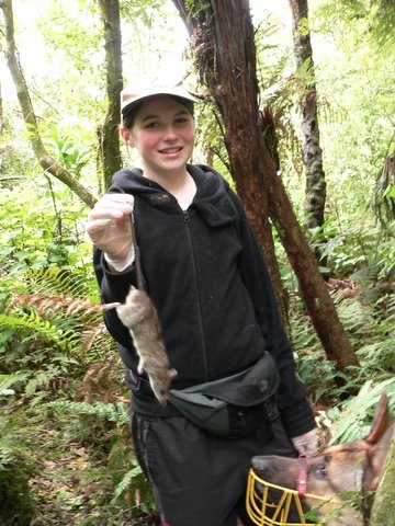 Volunteer showing off a rat caught in one of our traps