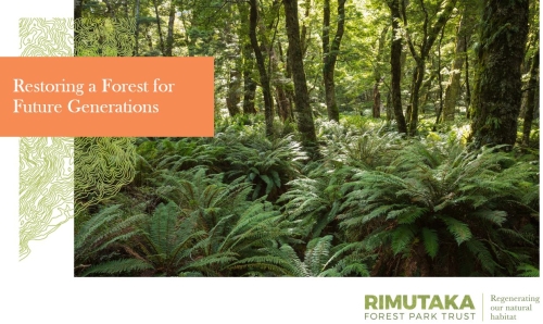 Remutaka Conservation Trust - Restoring a forest for future generations