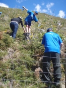 BNZ Call Centre Staff clearing weeds in the Catchpool Valley
