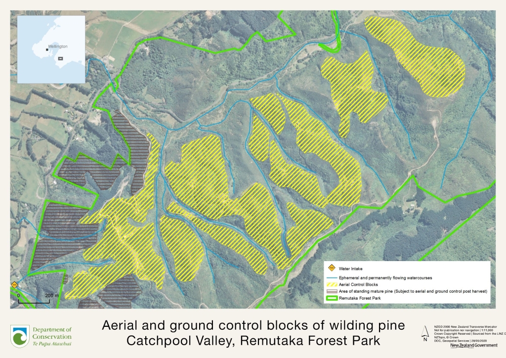 Aerial map of the treatment area for wilding pines removal